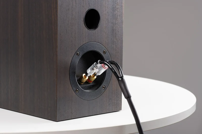 Pro-Ject Connect it S