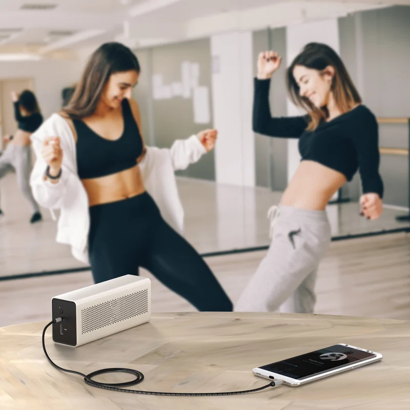 AUX Audio & Klinkenkabel - unzerstörbar konstruiert & optimal geeignet für Smartphones und Auto - silber