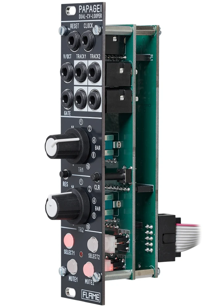 Flame Papagei Dual CV Looper black