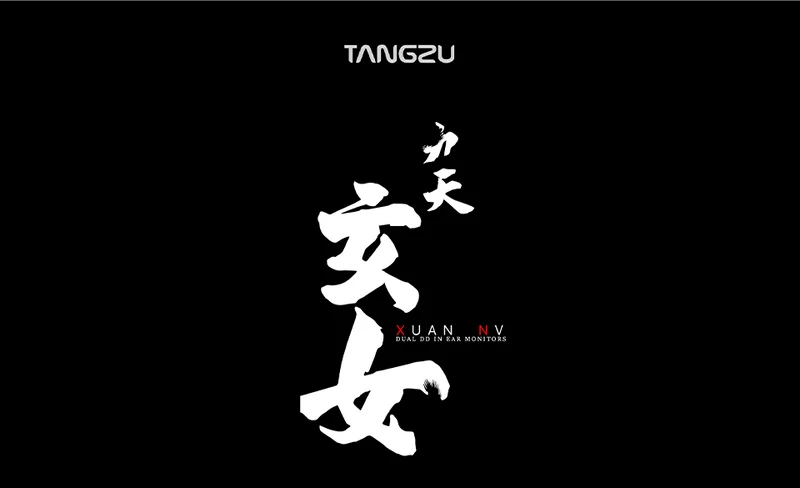 【Tangzu XuanNv】2 Dynamic Driver HiFi IEM Earphones, Wired Gaming Earbuds