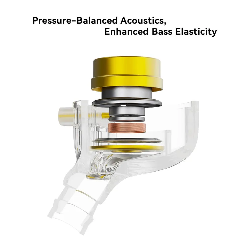 【TINHIFI C1】in Ear Earphones 10MM Full-size DLC Diaphragm DD IEM Headphone Earbuds