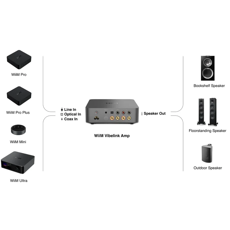 Vibelink Amp