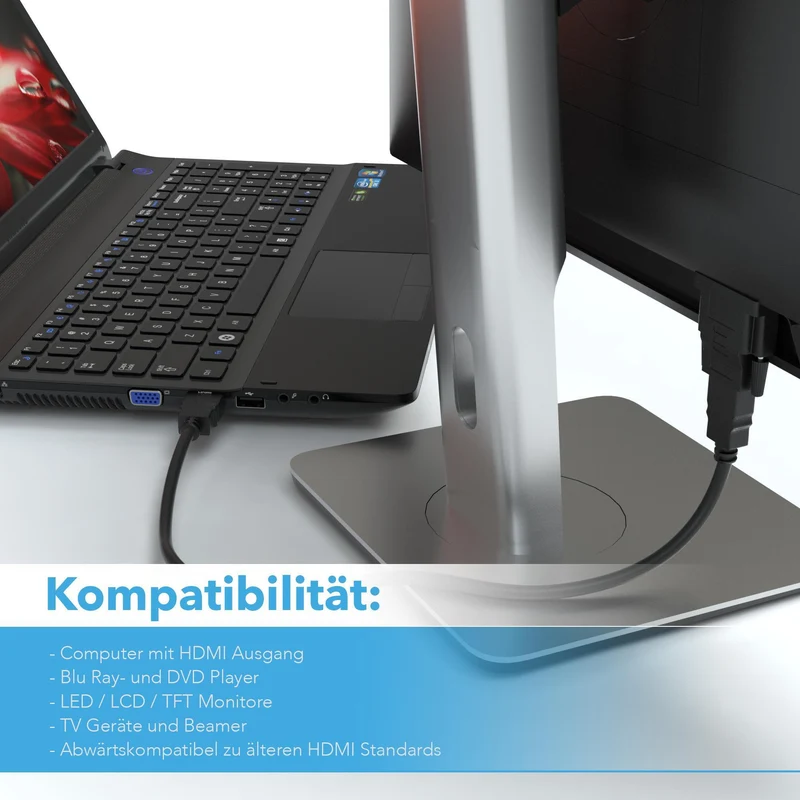HDMI auf DVI-D Adapter