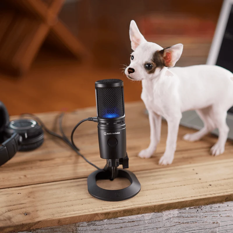 Audio-Technica AT2020USBX