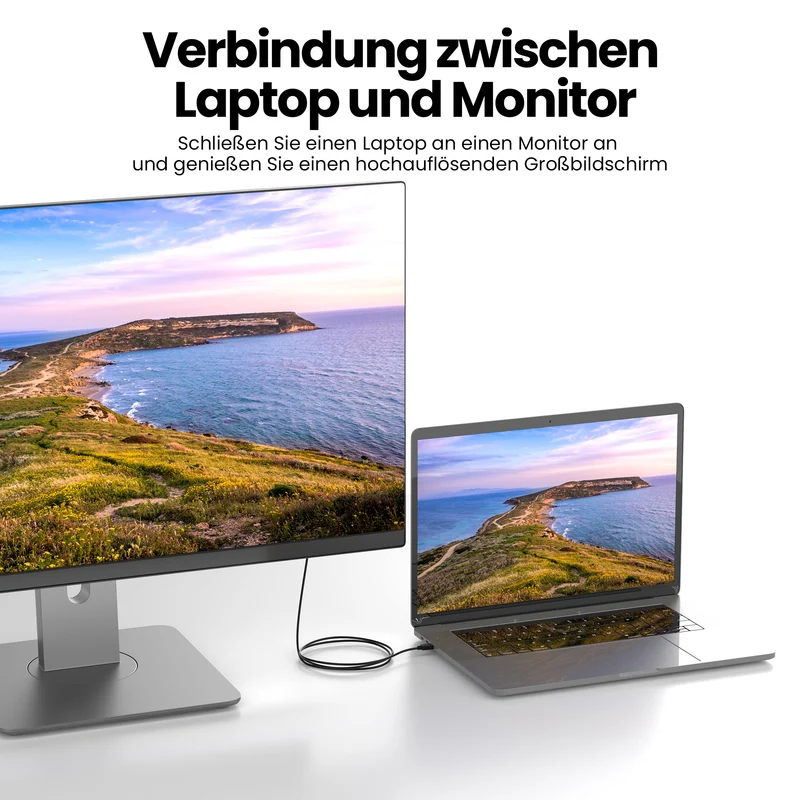 DVI - HDMI VARIATION "eBW"