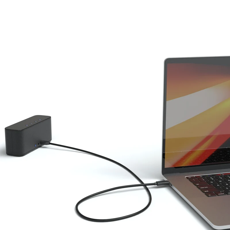 USB-C 2.0 Adapterkabel, Micro-B, schwarz - Variation