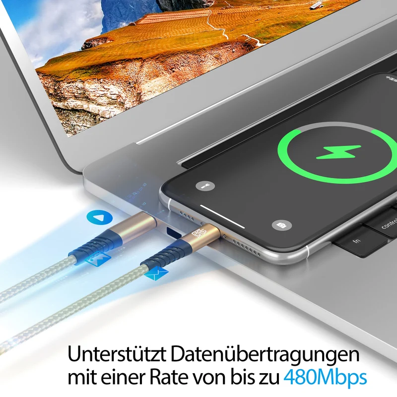 USB-C zu Lightning Kabel - Gold - Variante