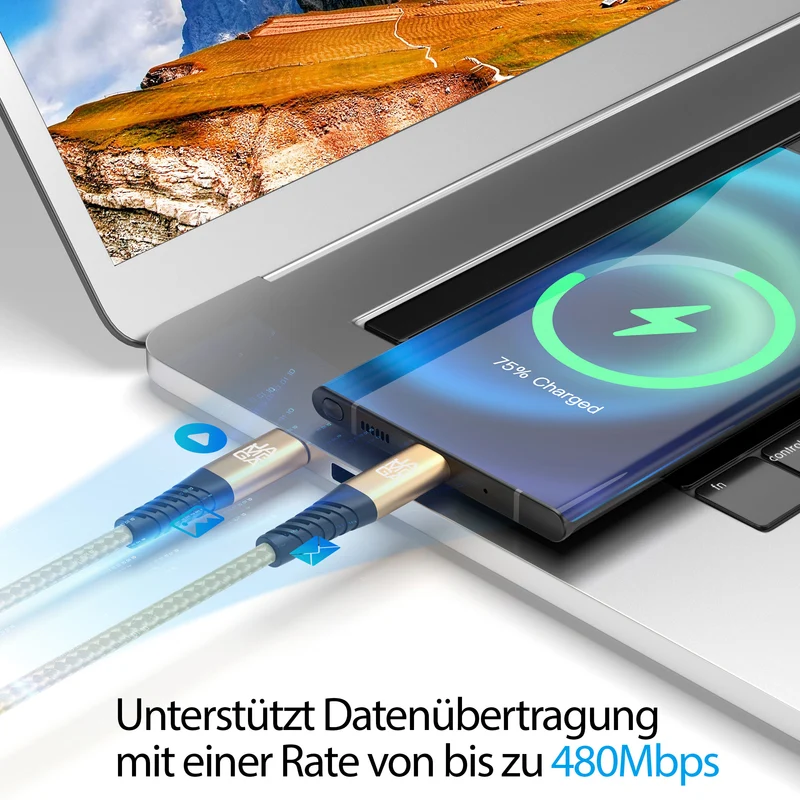 USB C Kabel Gold - Variante