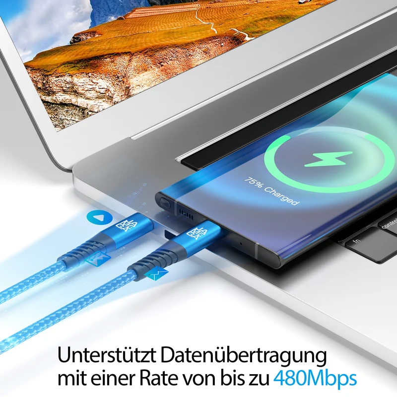 USB C Kabel Blau - Variante