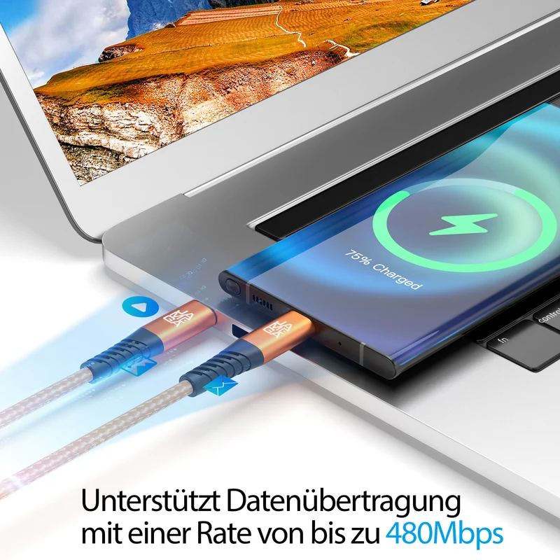 USB C Kabel Orange - Variante