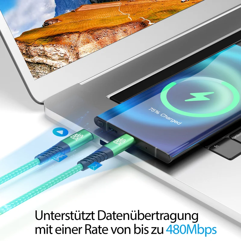 USB C Kabel Grün - Variante