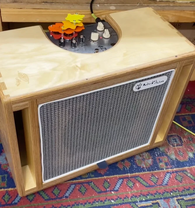 Wood? Handcrafted Speaker Cabinet