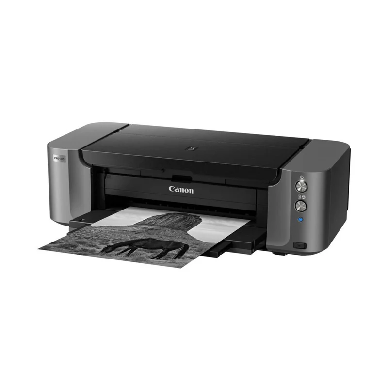 Pixma Pro 10S
