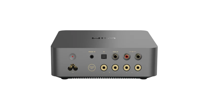 WiiM Vibelink Amp Verstärker