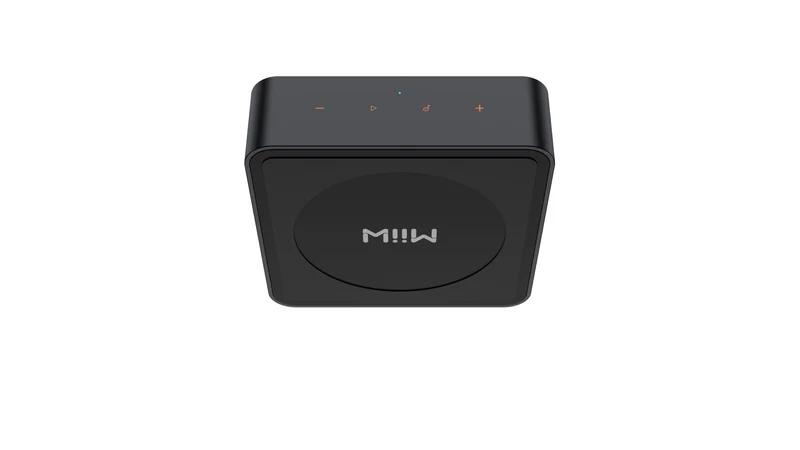 WiiM Pro High-Res-Streamer