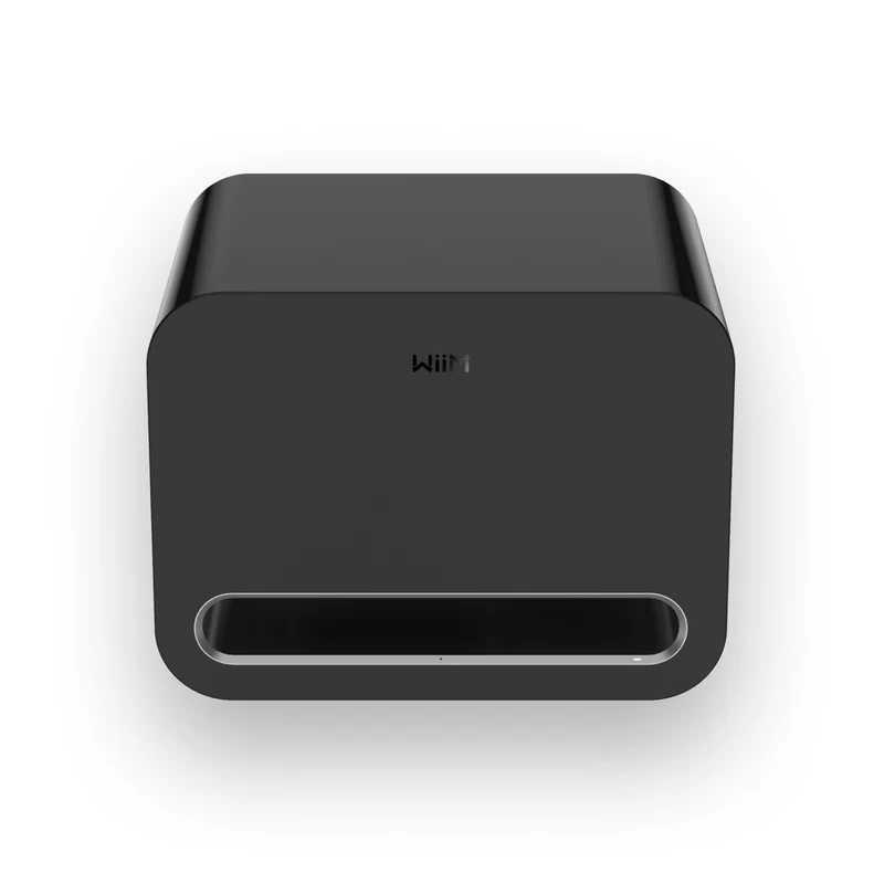 WiiM Sub Pro