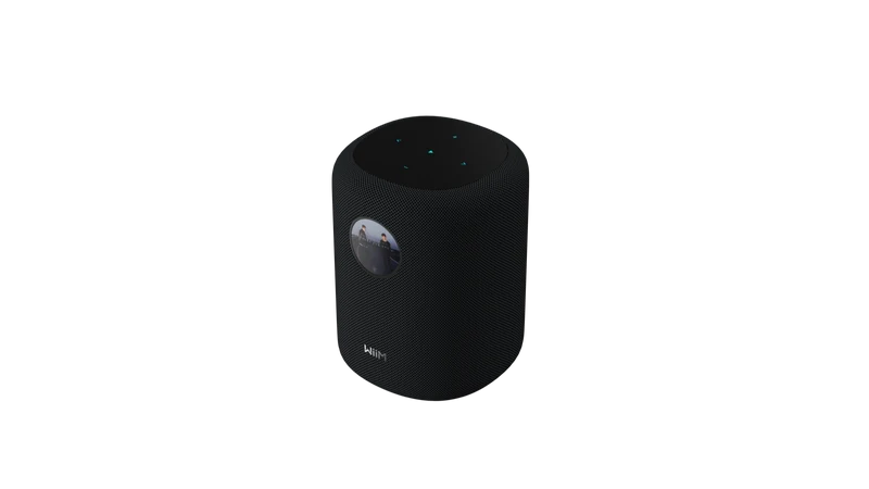 WiiM Sound Smart Speaker