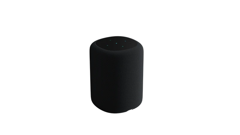 WiiM Sound Smart Speaker