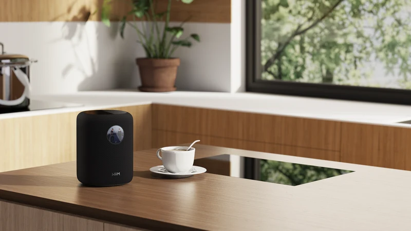 WiiM Sound Smart Speaker