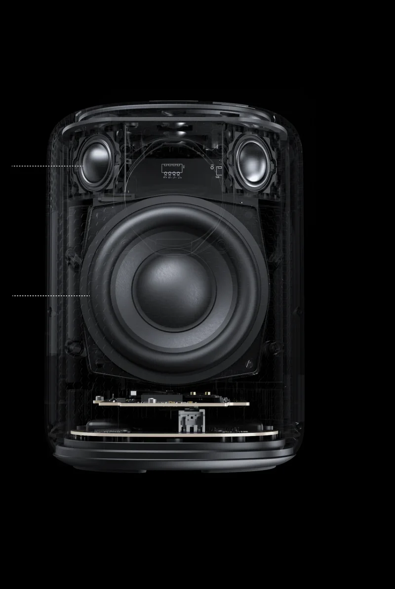 WiiM Sound Smart Speaker