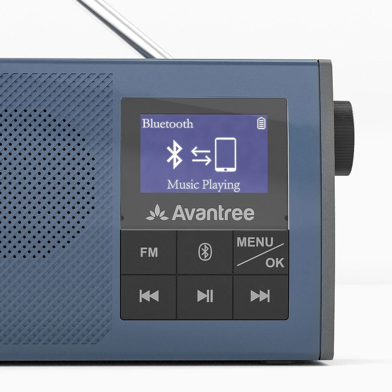 Audikast 4860 | Bluetooth TV Transmitter & Speaker/FM Radio Set