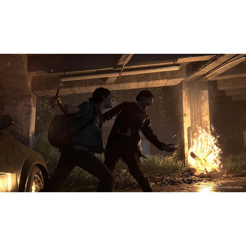 PS4 Game - The Last of Us Part II - The Last of us 2 for Playstation 4 (R3)