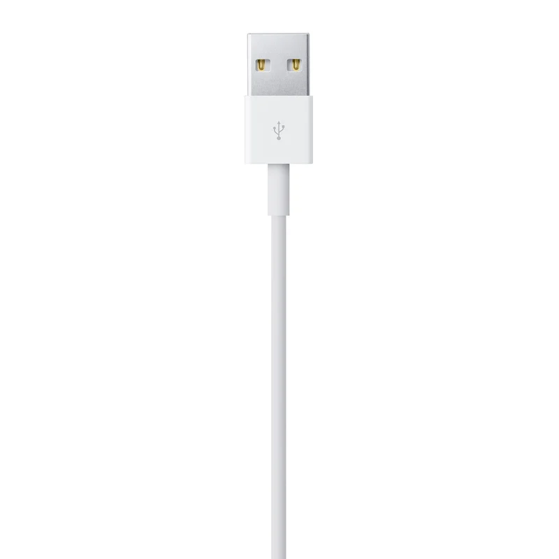 Câble Lightning vers USB (1 m)