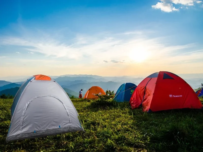 2 Personen Zelt Campingzelt mit Moskitonetz Wasserdicht Tragetasche Outdoor