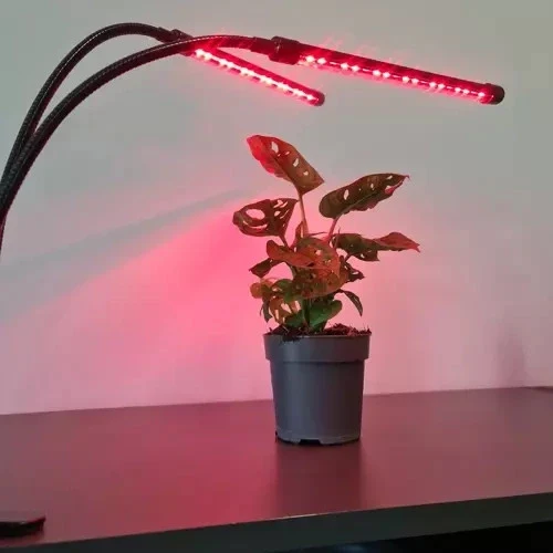 LED Pflanzenlampe 20W mit Timer und Dimmer – Pflanzenlicht für Zimmerpflanzen & Anzucht
