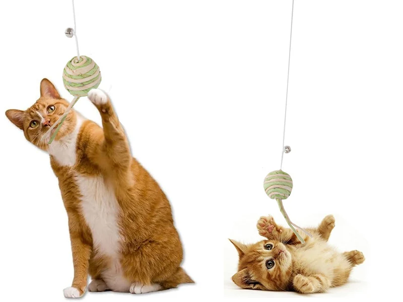 Katzenspielzeug Angelrute mit Ball & Rassel – Interaktives Spielzeug aus Holz