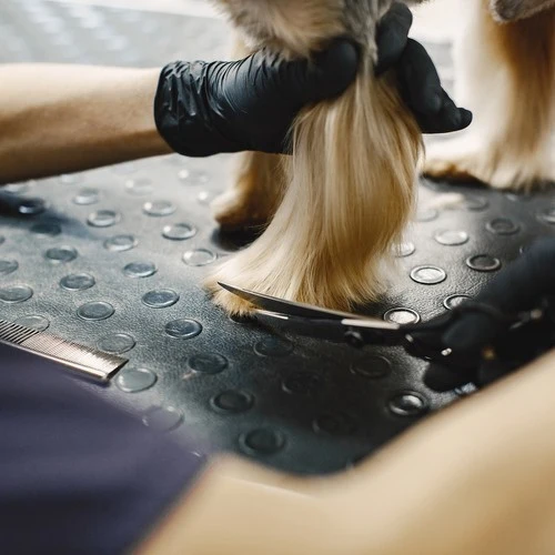 Hundeschere Set mit Rundspitze & Kamm – Edelstahl Fellpflege für Hunde & Katzen