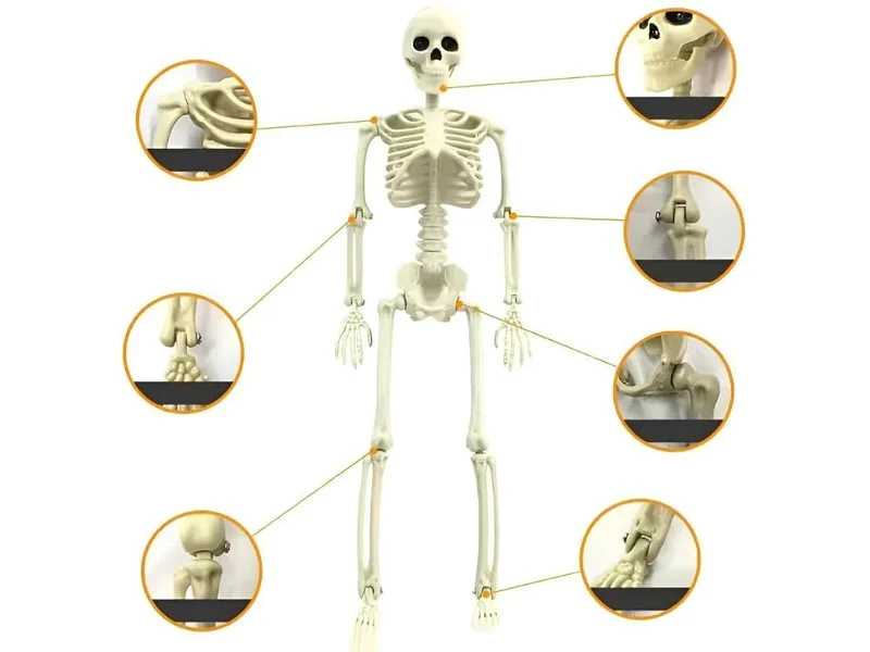 Halloween Deko 👻 Hängendes Menschliches Skelett 40cm Weiß Kunststoff 🎭 5900779956957