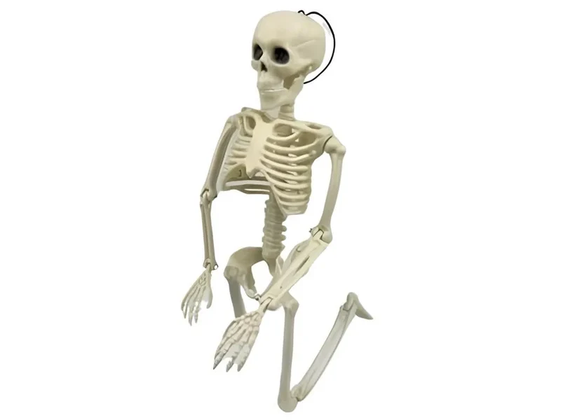 Halloween Deko 👻 Hängendes Menschliches Skelett 40cm Weiß Kunststoff 🎭 5900779956957
