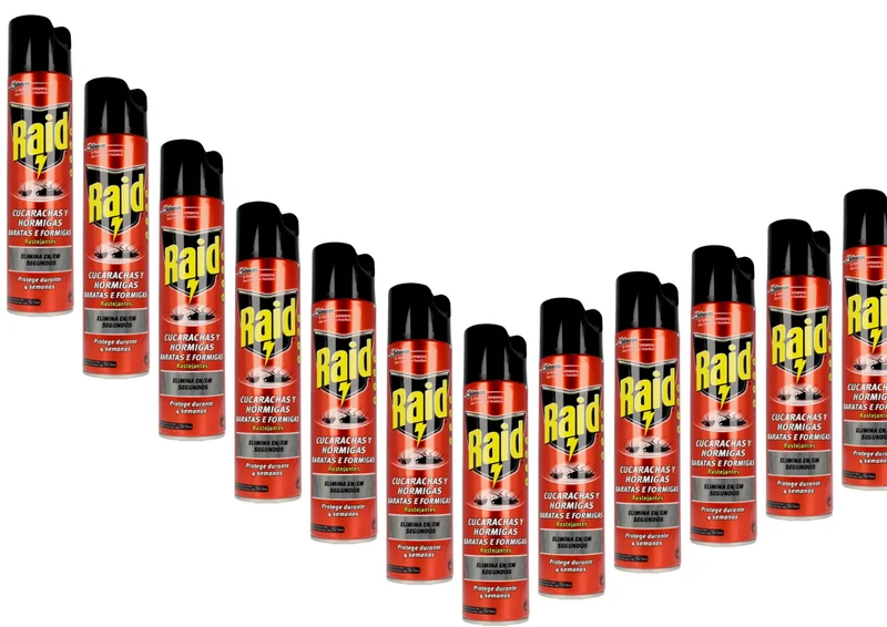 Raid Insektenspray Sofortwirkung gegen kriechende Schädlinge & Ungeziefer 400ml --
