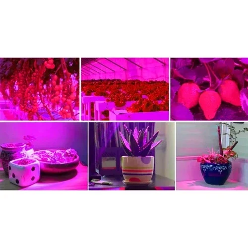 Pflanzenlampe LED 🌱 Grow Lampe 225 LEDs Rot Blau Hängelampe Zimmerpflanzen