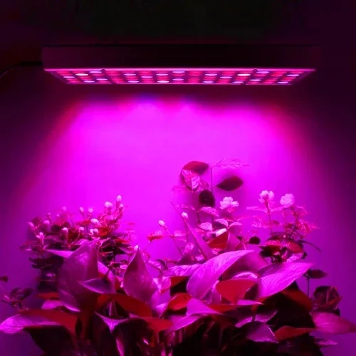 Pflanzenlampe LED 🌱 Grow Lampe 225 LEDs Rot Blau Hängelampe Zimmerpflanzen