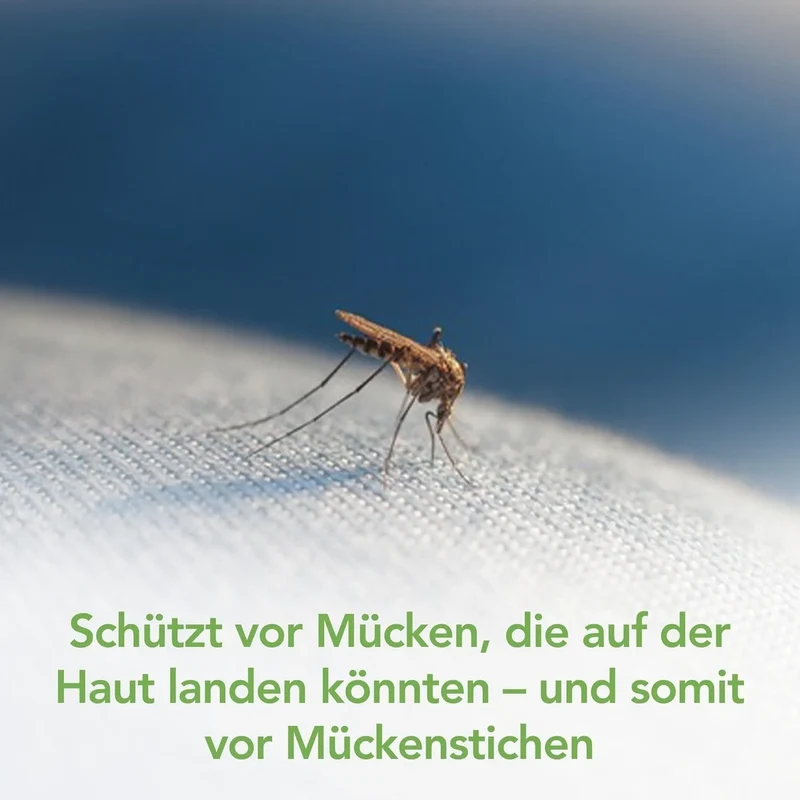 Raid Essentials Mückenspray 300ml Pflanzlich Geruchsfrei Innenraum 4h Schutz