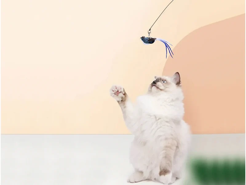 Interaktives Katzenspielzeug mit Vogel, Saugnapf und Katzenangel – Feder-Spielzeug 95 cm für aktive Katzen 🐾🐾🐾