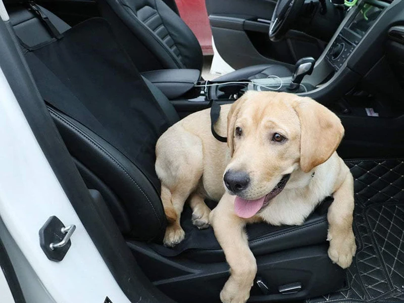 Auto Sitzschutz Matte für Hund – Wasserdicht klappbar 105x50 cm