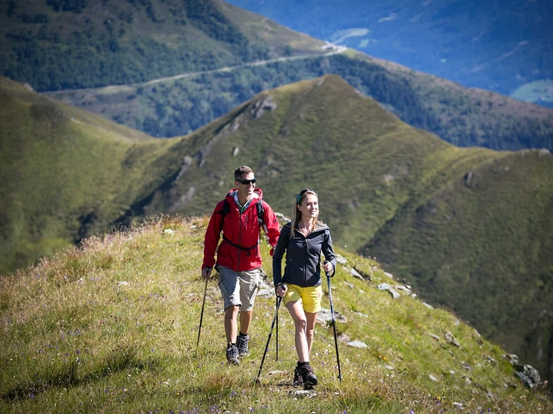 Nordic Walking Stock Einzelstück 64-135cm Alu Korkgriff Antischock Teleskop 🏞️🏞️💪