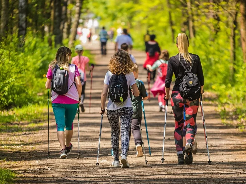 Nordic Walking Stock Einzelstück 64-135cm Alu Korkgriff Antischock Teleskop 🏞️🏞️💪