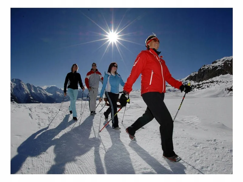 Nordic Walking Stock Einzelstück 64-135cm Alu Korkgriff Antischock Teleskop 🏞️🏞️💪