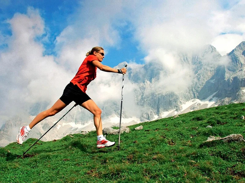 Nordic Walking Stock Einzelstück 64-135cm Alu Korkgriff Antischock Teleskop 🏞️🏞️💪