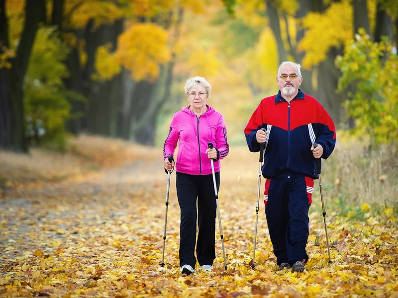 Nordic Walking Stock Einzelstück 64-135cm Alu Korkgriff Antischock Teleskop 🏞️🏞️💪
