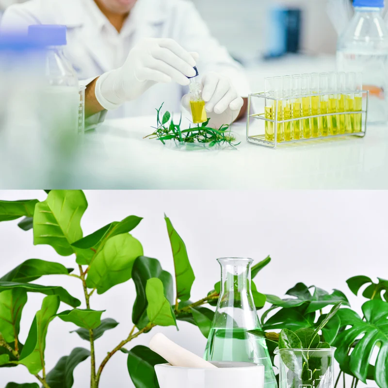 TIENS CoQ10 & Quercetin Kapseln mit Vitamin-B-Komplex, D3, K2 & E