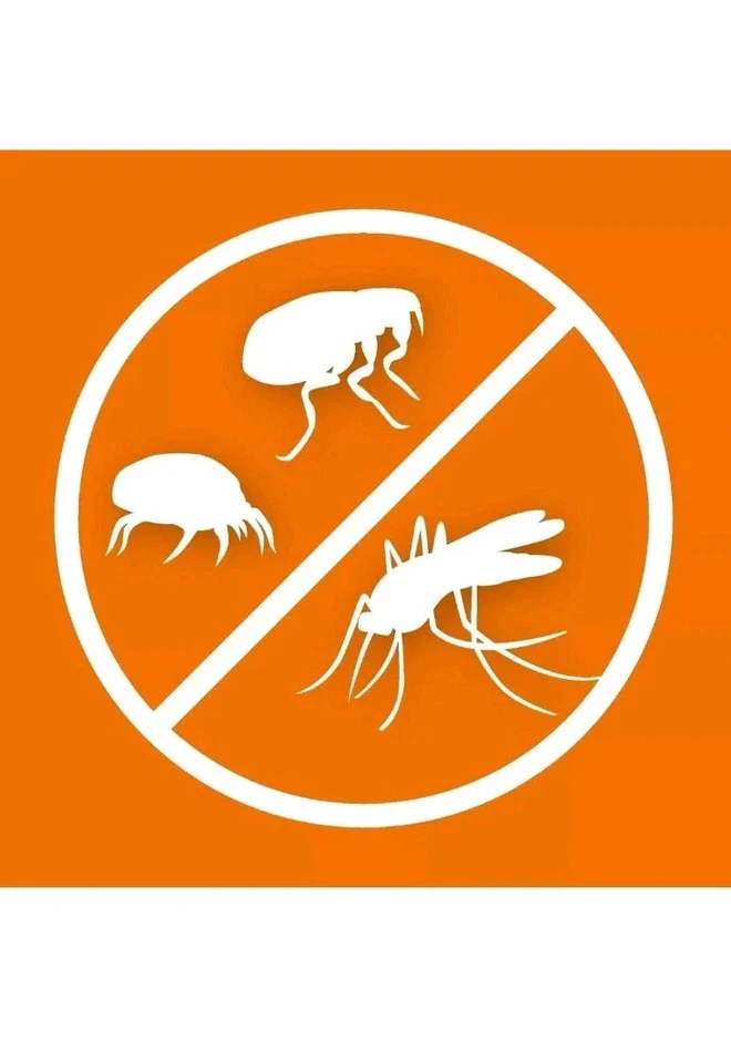 ARDAP Fogger Spray gegen Ungeziefer 2x100ml – Effektiver Insektenvernebler