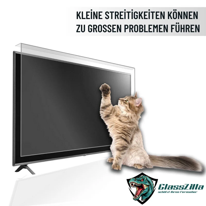 49 Zoll Fernseher Schutz / TV Bildschirmschutz / Displayschutz / TVs