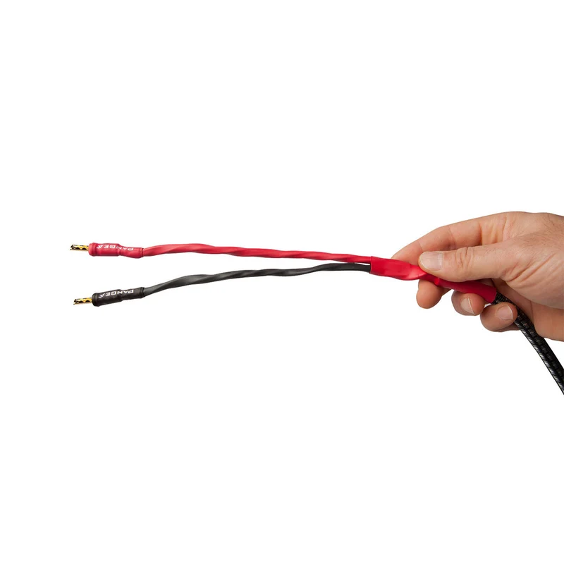 AudioQuest Type 8 Speaker Cable - PREMIUM No Frills Termination - 12 Foot Single - Bananas to Spades