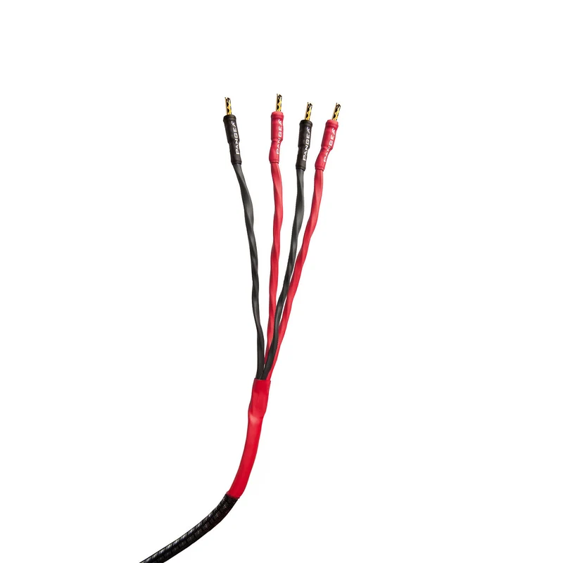 AudioQuest Type 8 Speaker Cable - PREMIUM No Frills Termination - 31Foot Pair - Bi-Wire Bananas to Bananas