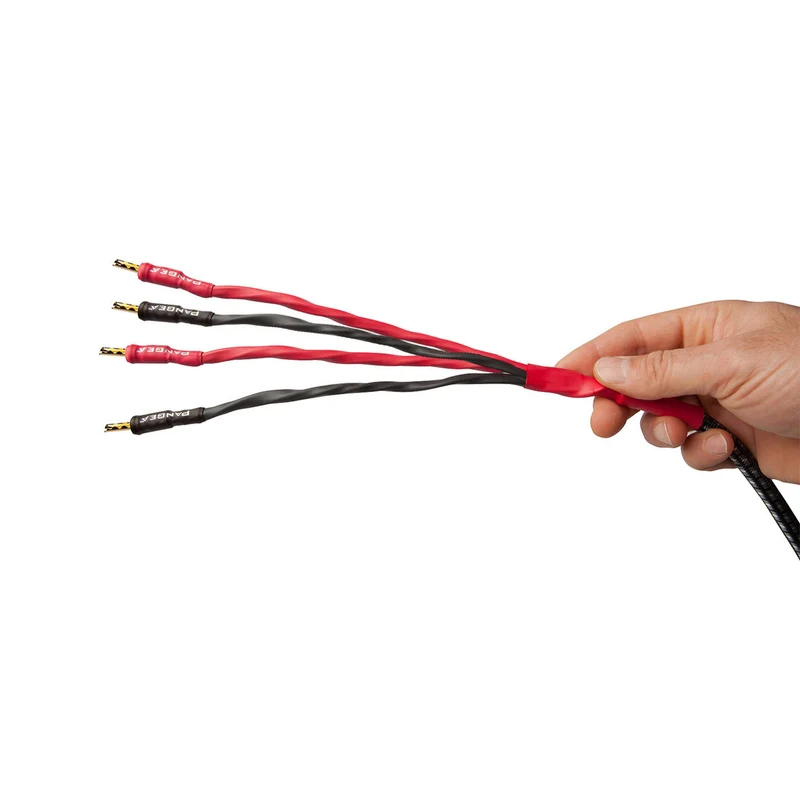 AudioQuest Type 8 Speaker Cable - PREMIUM No Frills Termination - 20 Foot Pair - Bi-Wire Spades to Bananas